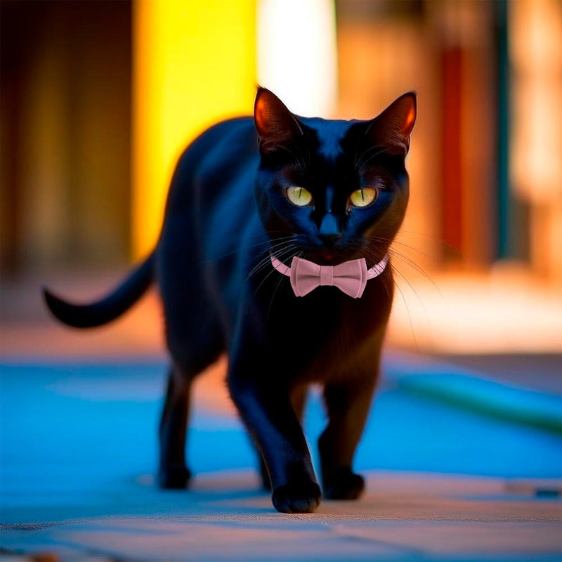 Soku Collar De Seguridad Gato Kawaii Calidad Premium Cosido