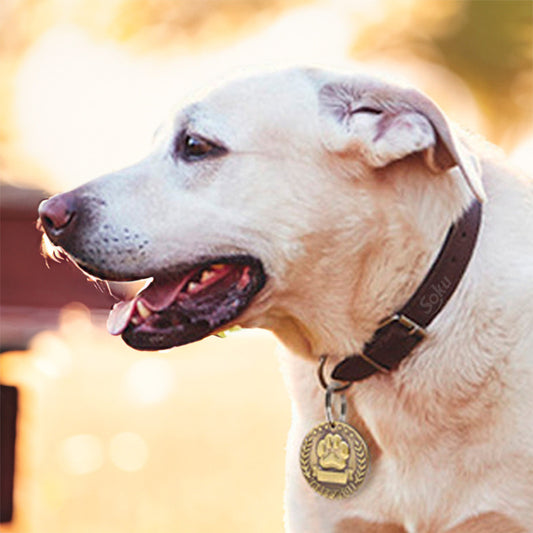 Soku Placa Perro Personalizada Huella Tag Inoxidable Premium