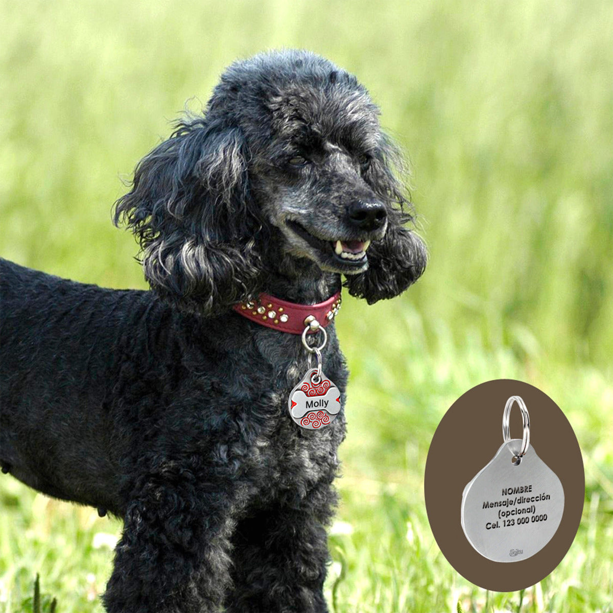 Placa Perro Personalizada Hueso Tag Acero Inoxidable Premium