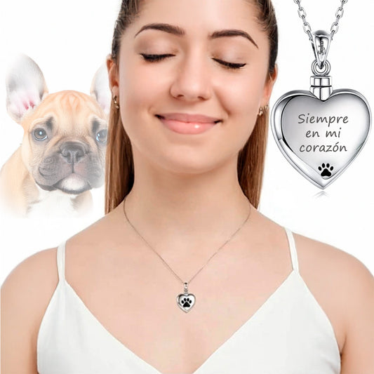 Soku Dije Personalizado 3d Corazon Huella Cenizas Perro Gato