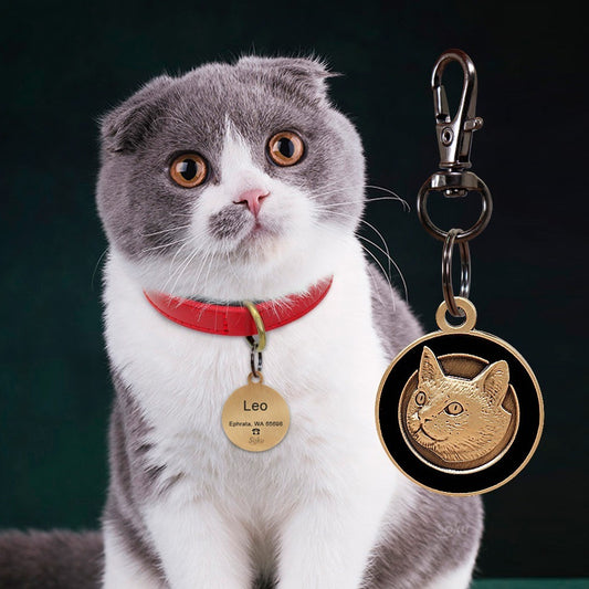 Placa Perro Gato Personalizada Identificación Razas Inoxida