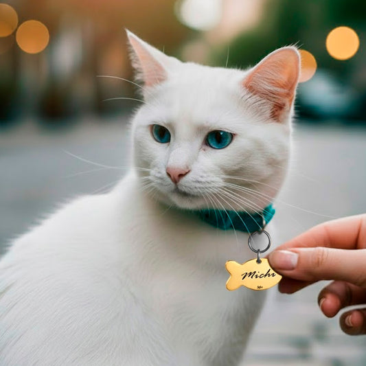 Placa Mascotas Personalizada Pez Tag Acero Inoxidable Gato