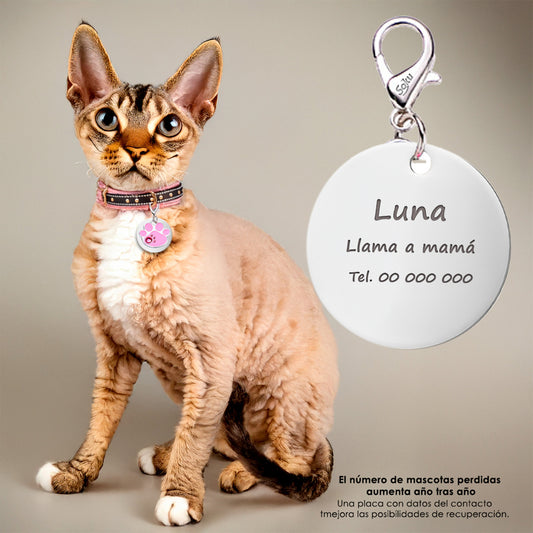 Soku Placa Personalizada Perro Gato Huella Cristal Premium+
