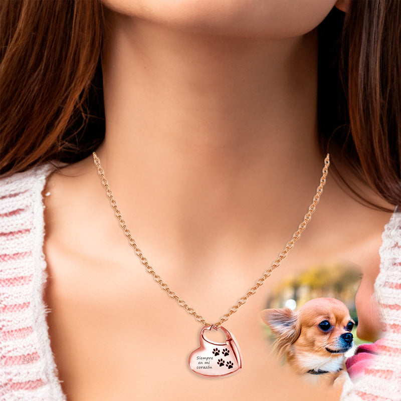 Soku Dije Personalizado Collar Cenizas Relicario Perro Gato