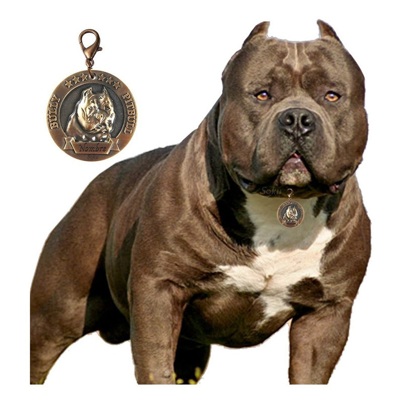 Placa Perro Personalizada Inoxidable  Razas Medalla Grande