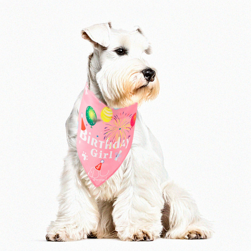 Soku Collar Perro Pañuelo Fiesta Cumpleaños Disfraz Mascota