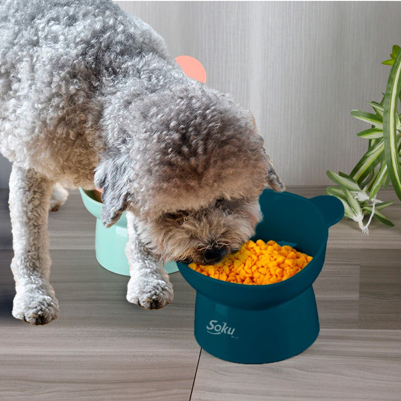 Soku Tazon Plato Para Gatos Perros Mascotas Kawaii Elevado