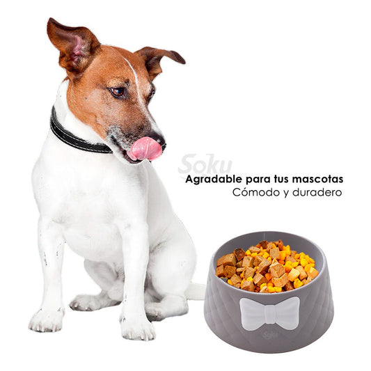 Soku Tazon Plato Para Perro Gatos Mascota Elegante Kawaii