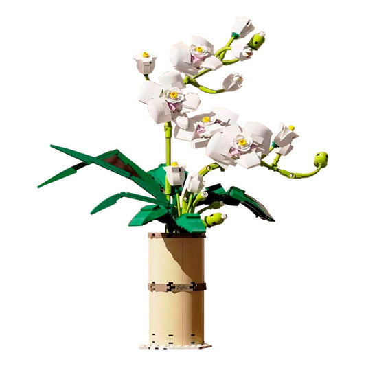 Soku Flores Orquideas Blancas Bloques Construcción Decora