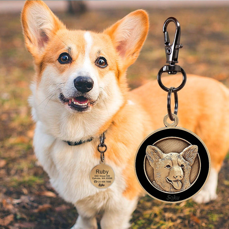 Placa Perro Gato Personalizada Identificación Razas Inoxida