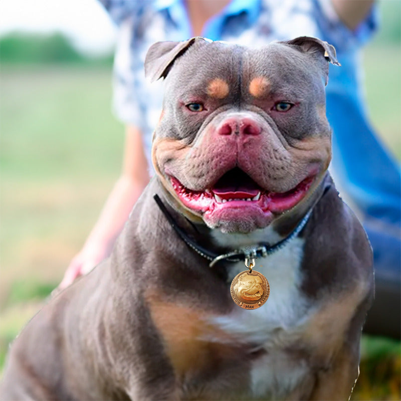 Placa Perro Personalizada Identificación Razas Inoxidable