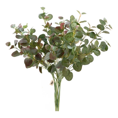 Soku Ramo Plantas Decorativas Casa Oficina Spa Eucalipto