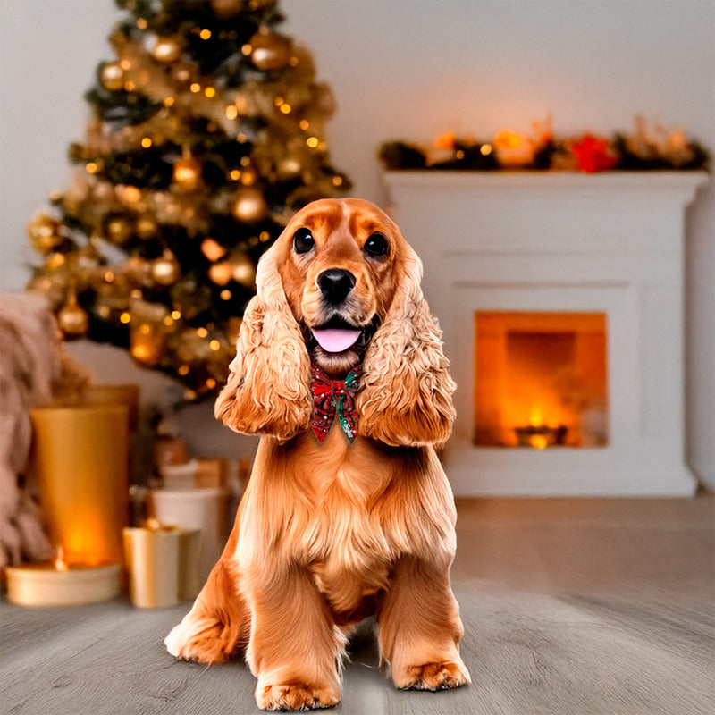 Soku Perro Pañoleta Moño Regalo Fiestas Hipoalergénico
