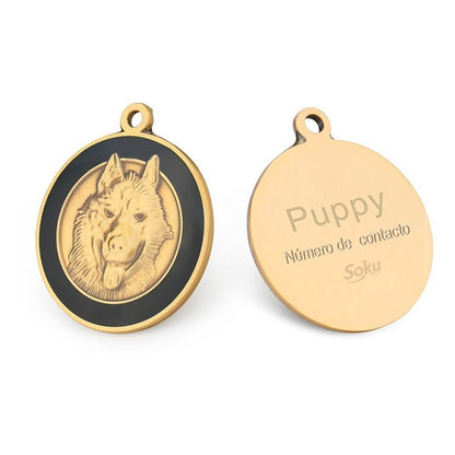 Placa Perro Gato Personalizada Identificación Razas Inoxida