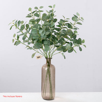 Soku Ramo Plantas Decorativas Casa Oficina Spa Eucalipto