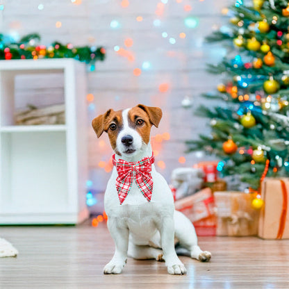 Soku Perro Pañoleta Moño Regalo Fiestas Hipoalergénico