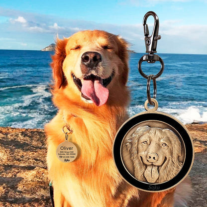 Placa Perro Gato Personalizada Identificación Razas Inoxida