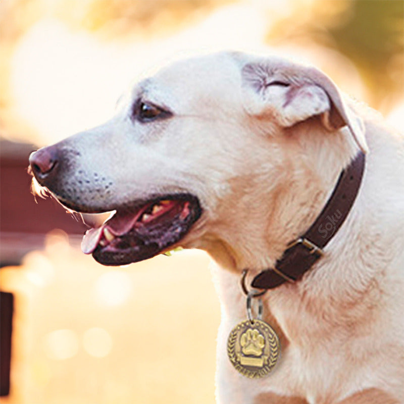Soku Placa Perro Personalizada Huella Tag Inoxidable Premium