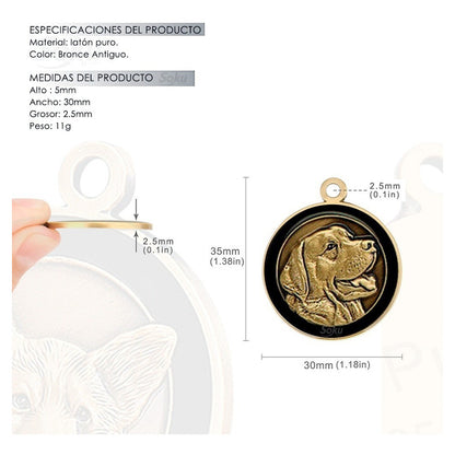 Placa Perro Gato Personalizada Identificación Razas Inoxida