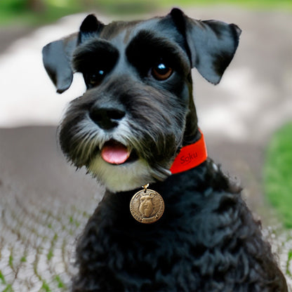 Placa Perro Personalizada Identificación Razas Inoxidable