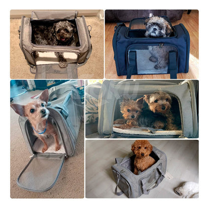 Soku Mochila Viaje Perro Gato Grande Antirasguños Premium