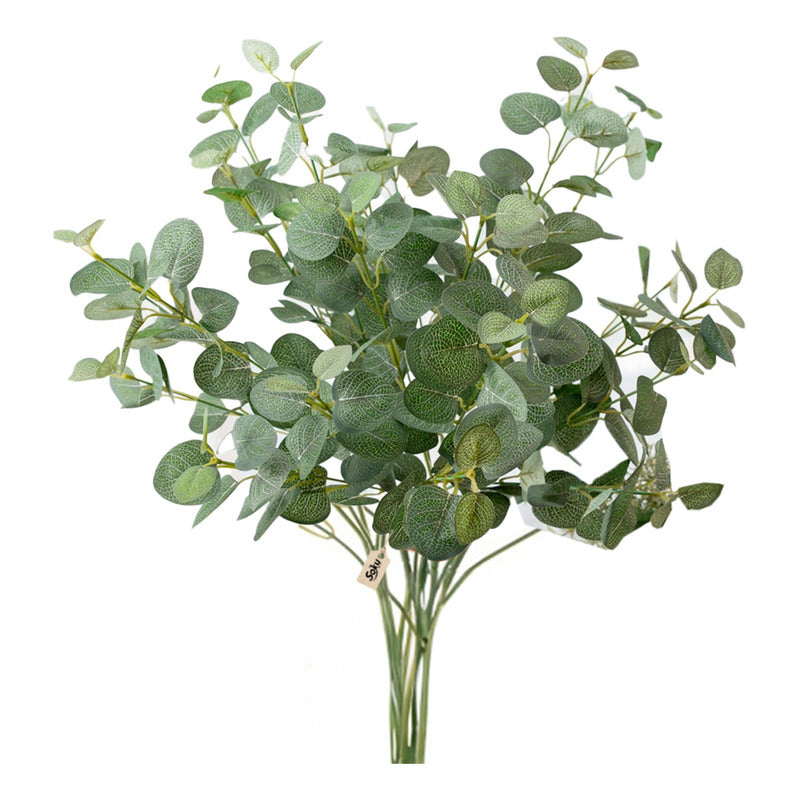 Soku Ramo Plantas Decorativas Casa Oficina Spa Eucalipto