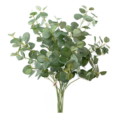 Soku Ramo Plantas Decorativas Casa Oficina Spa Eucalipto