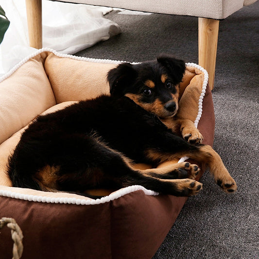 Cama Perro Impermeable Cojin Extraible Extra Larga Premium