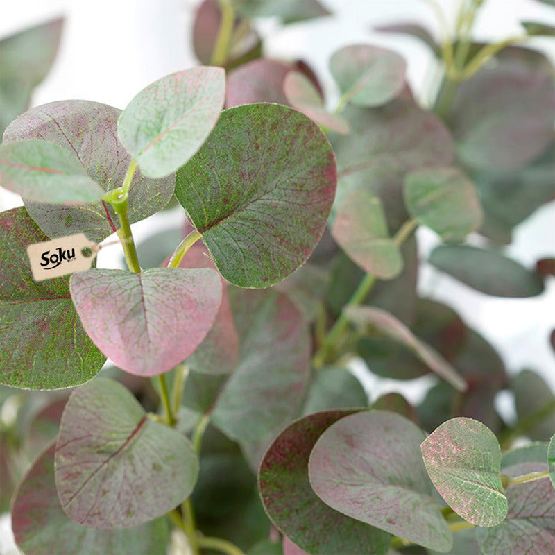 Soku Ramo Plantas Decorativas Casa Oficina Spa Eucalipto