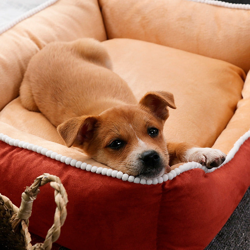 Cama Perro Impermeable Cojin Extraible Extra Larga Premium