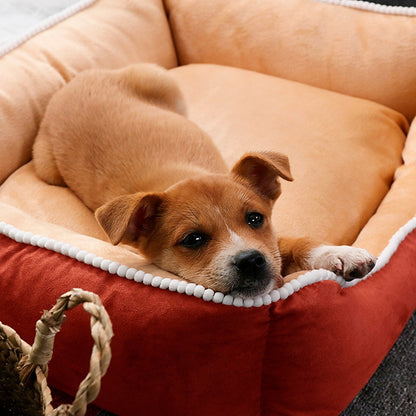 Cama Perro Impermeable Cojin Extraible Extra Larga Premium