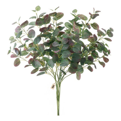 Soku Ramo Plantas Decorativas Casa Oficina Spa Eucalipto