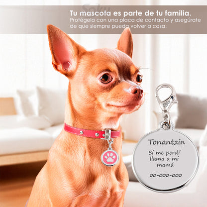 Soku Placa Personalizada Perro Gato Tag Inoxidable Premium+