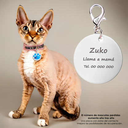 Soku Placa Personalizada Perro Gato Huella Cristal Premium+