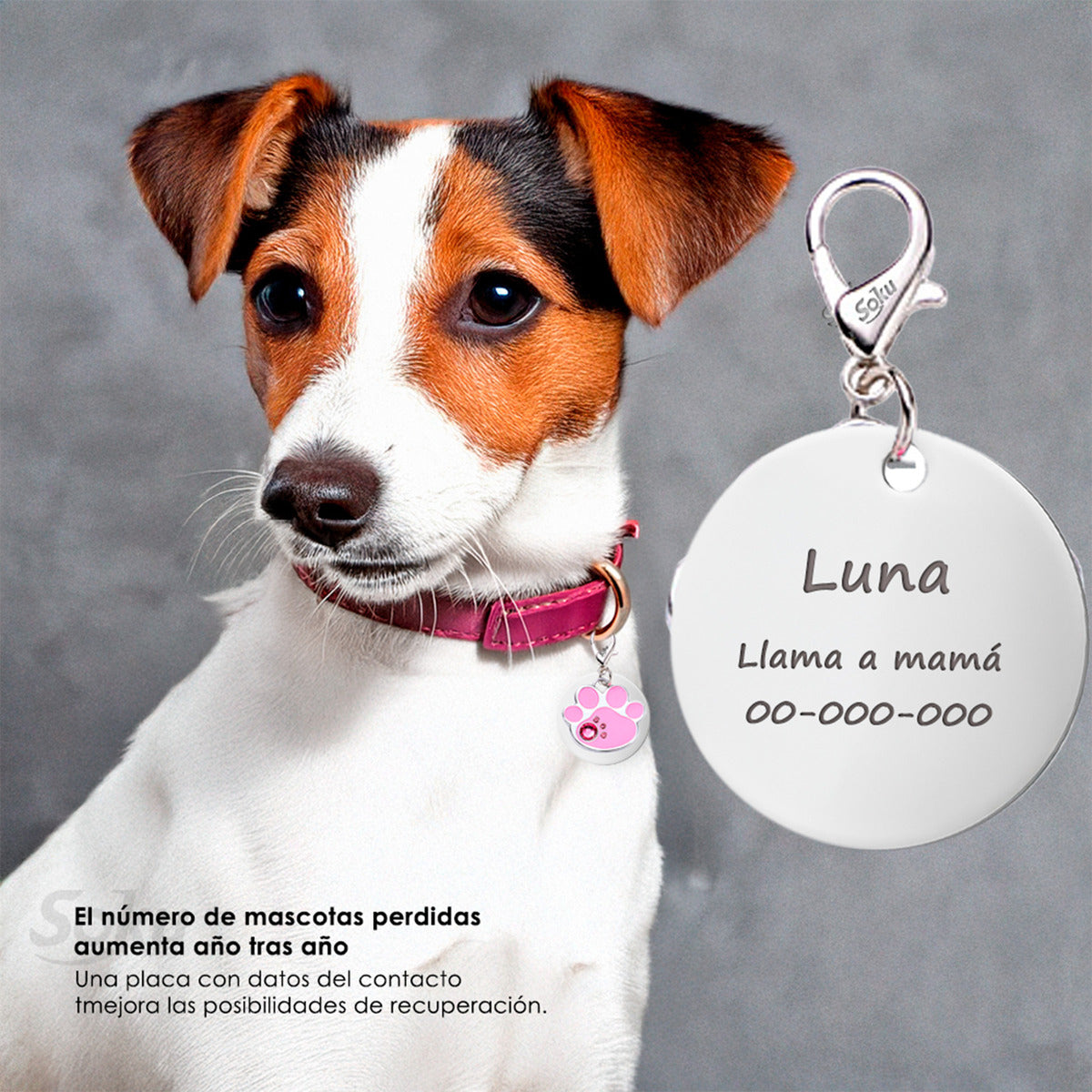 Soku Placa Personalizada Perro Gato Huella Cristal Premium+