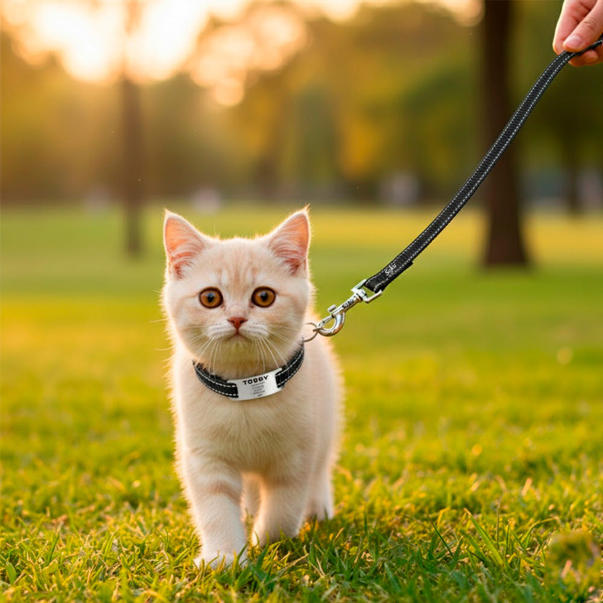 Soku Collar Raza Chica Personalizado Correa Perro Gato Masco