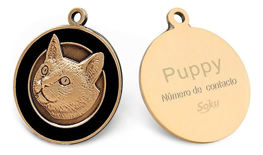 Placa Perro Gato Personalizada Identificación Razas Inoxida