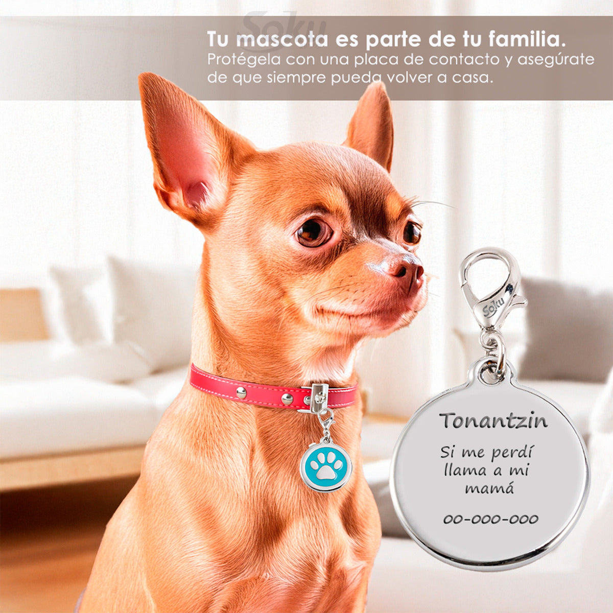 Soku Placa Personalizada Perro Gato Tag Inoxidable Premium+