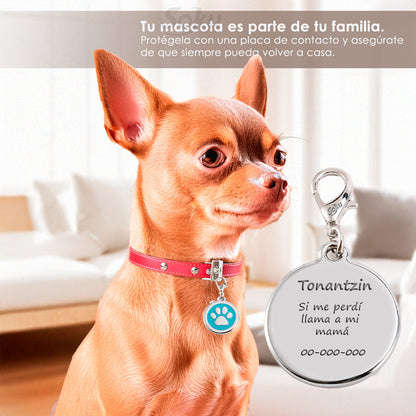 Soku Placa Personalizada Perro Gato Tag Inoxidable Premium+