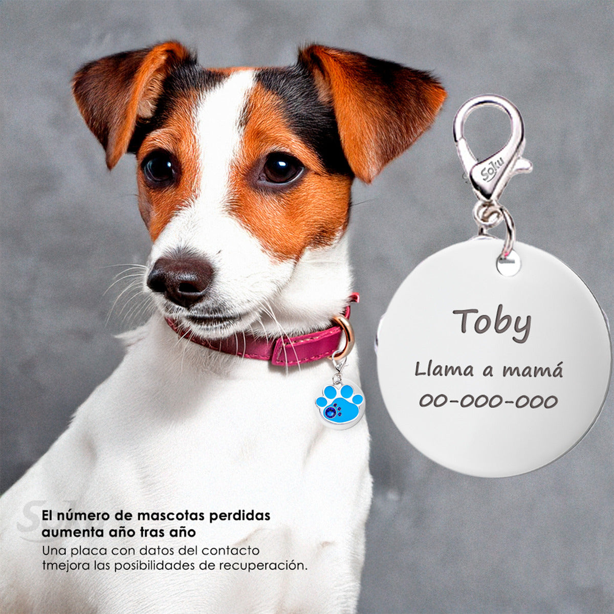 Soku Placa Personalizada Perro Gato Huella Cristal Premium+