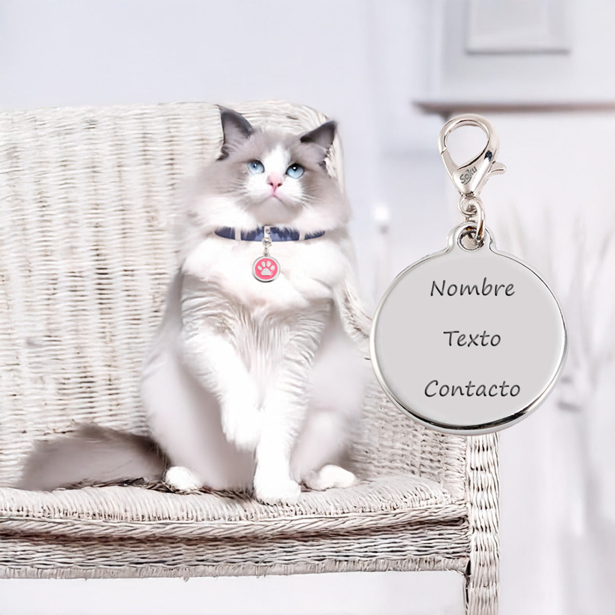 Soku Placa Personalizada Perro Gato Tag Inoxidable Premium+