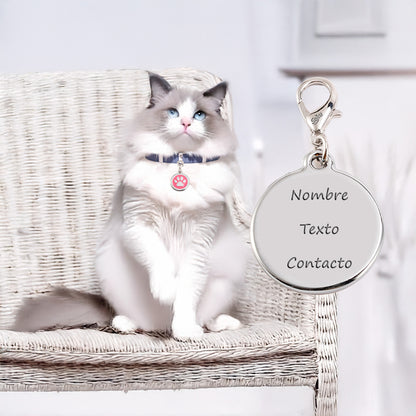 Soku Placa Personalizada Perro Gato Tag Inoxidable Premium+